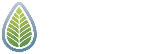 Bell Engineering Services